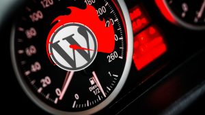 Speed Up WordPress