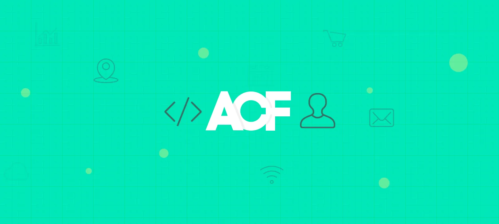 Advanced Custom Fields (ACF)